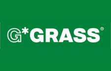 Grass